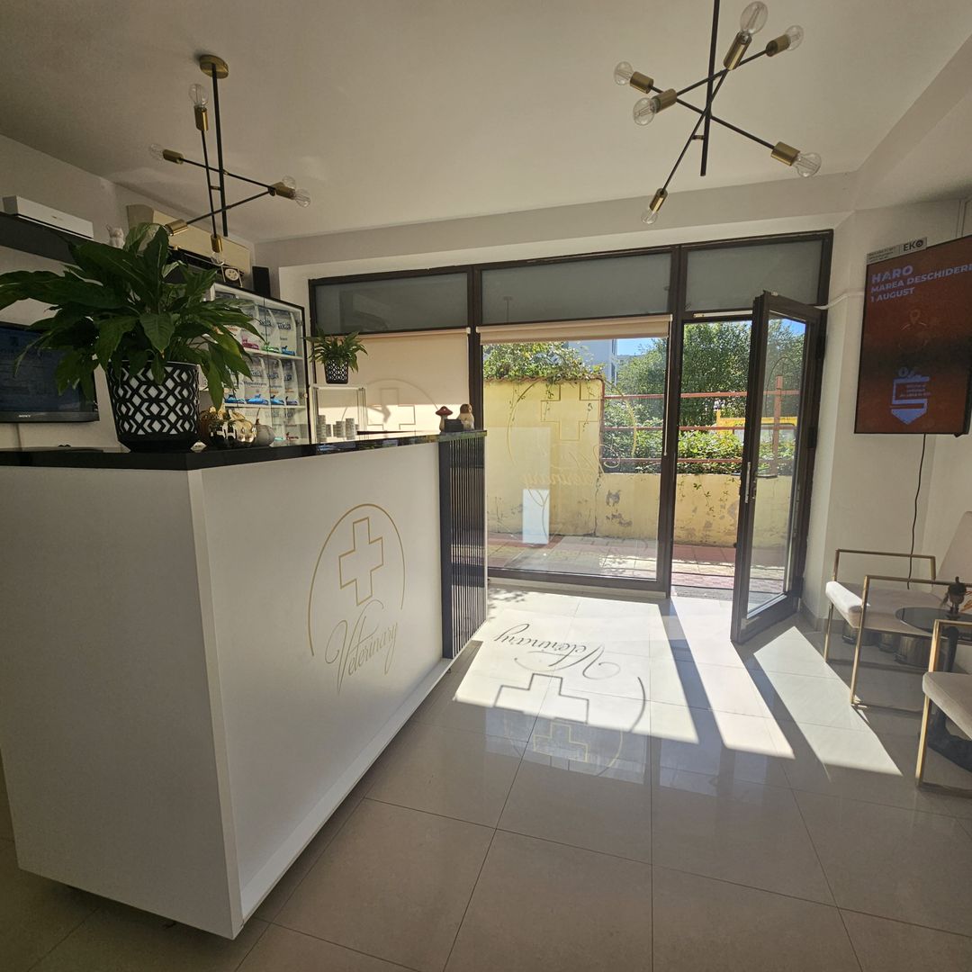 OCAZIE Spatiu Comercial Herastrau/Aviatiei - Poză 7