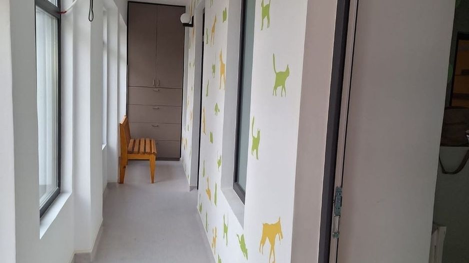 Casa de vanzare Sararie - Copou - Poză 8