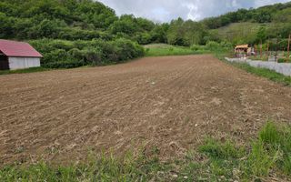 Teren intravilan langa Alba Iulia, 2742 mp, comuna Vintu de Jos - Poză 2