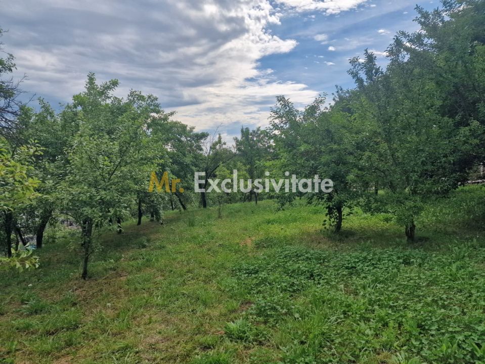 Teren intravilan  1400 mp - Albota ! - Poză 5
