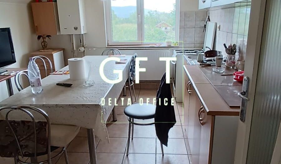 Casa cu spatiu comercial Chintelnic - Poză 5