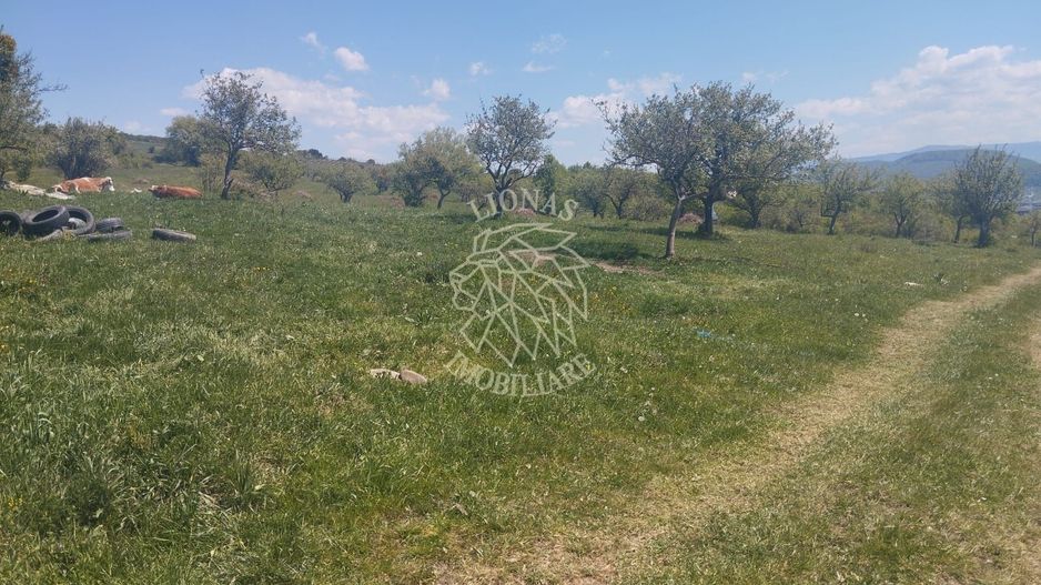 Teren 4400 mp -Parcelabil - panoramic - Sarata - Poză 3