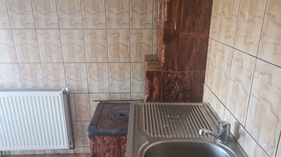 Teren cu casa si anexe in Budeasa Mare - Poză 9