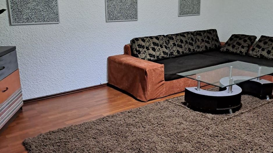 Apartament Versatil, Proaspăt Zugrăvit– Bd.Corneliu Coposu 1, Birou sau Locuinta - Poză 1