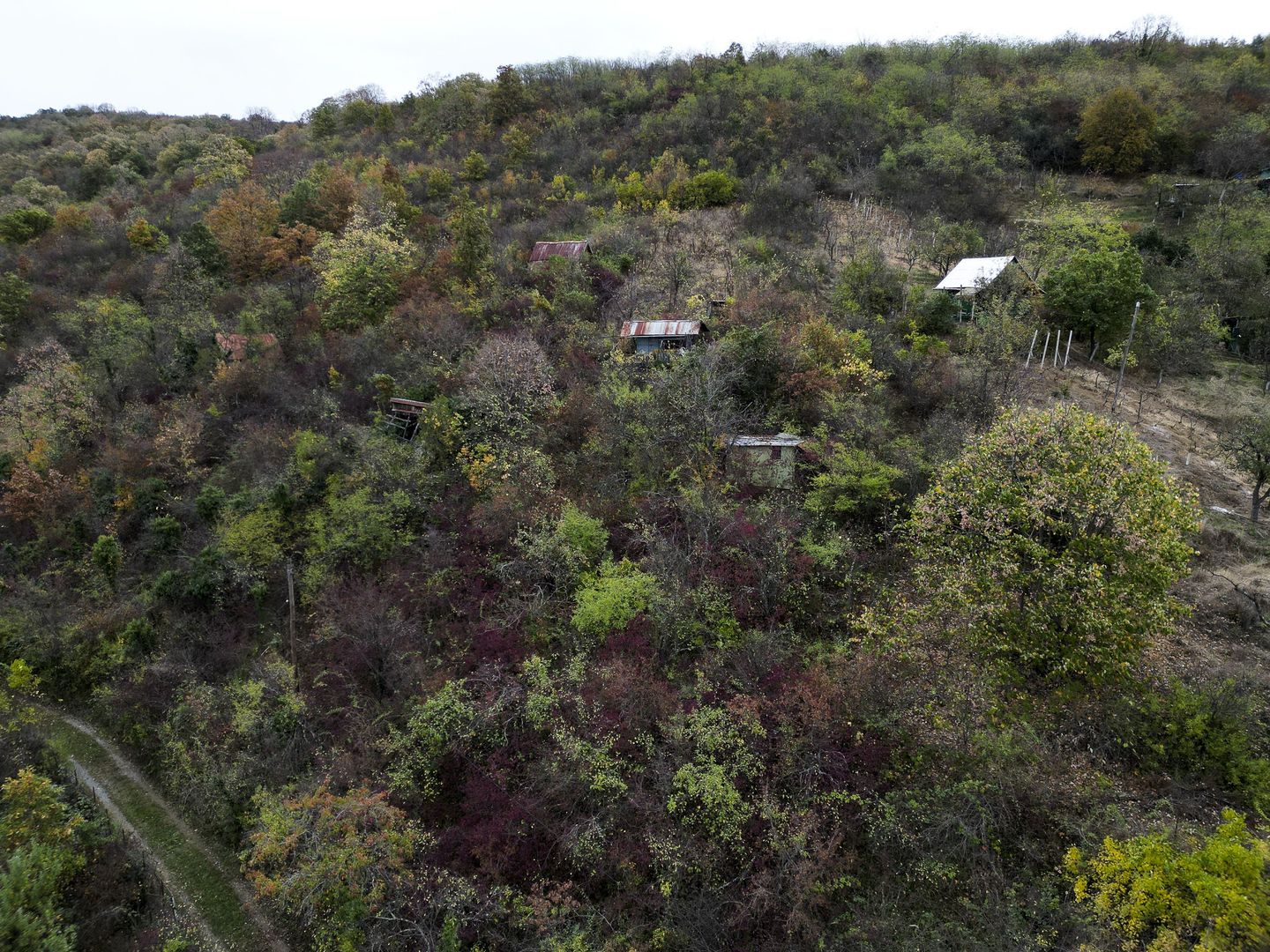 Teren 18,300mp Ghioroc - Poză 6