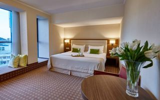 4 **** HOTEL PIATRA - NEAMT - Poză 13