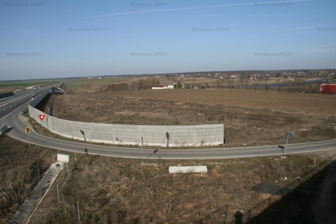 Moara Vlasiei, 5100 mp. teren intravilan, langa A3, toate utilitatile - Poză 9