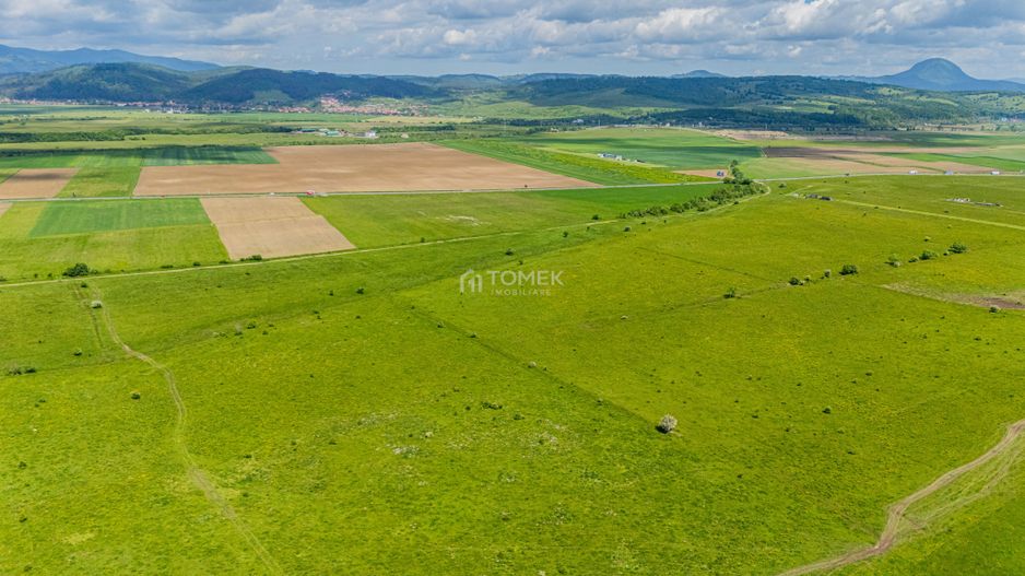 Teren de investiție în zona Tohanul Nou - Bran  5.800 mp - Poză 15