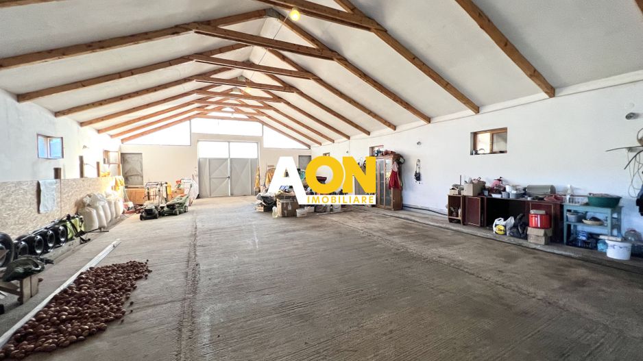 Ferma de vanzare cu 550MP utili si 27.500MP teren la asfalt - Poză 9