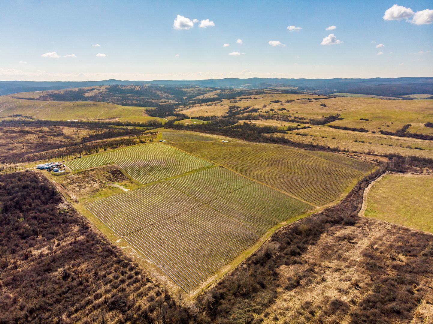 Plantație Bio de mure și zmeură  26,4 ha în Lipova - Poză 4