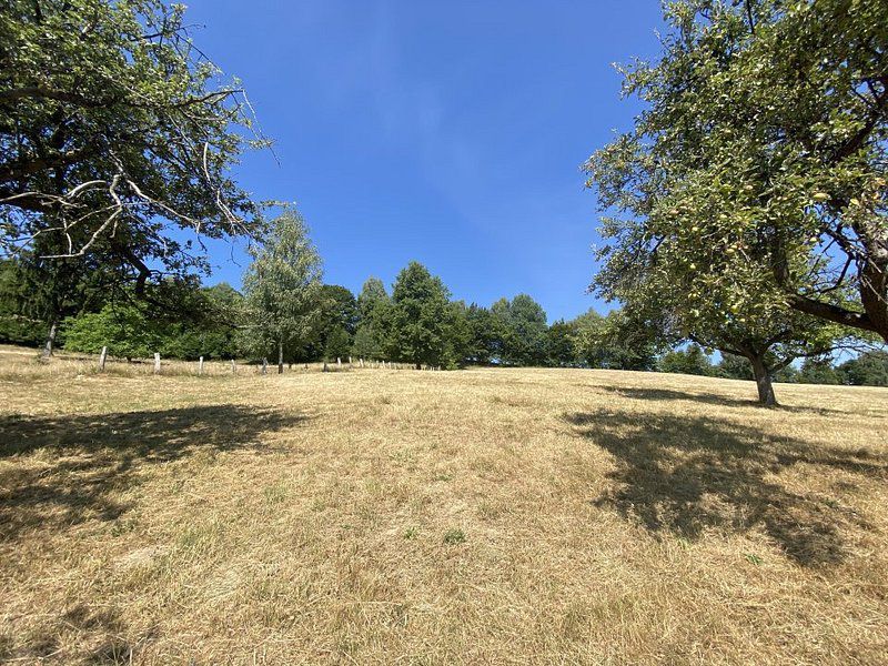 Teren extravilan de vânzare în Râșnov | 6.070 mp | Vedere panoramică - Poză 3