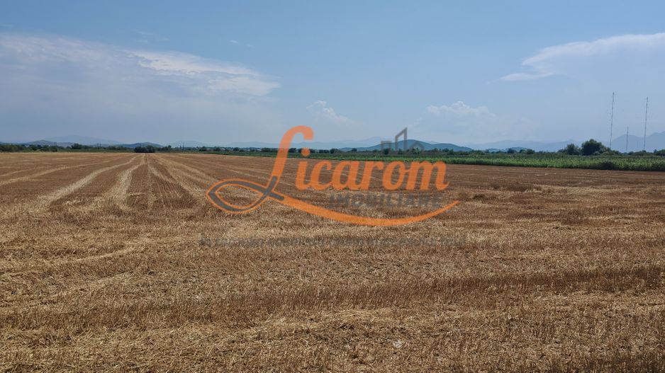 Teren intravilan 3,85 ha,Brasov DN 13 langa MILLE, OLYMPUS, ARKADA - Poză 5