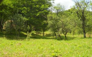 Teren Breaza de Jos, Prahova, Podu Vadului, 3750 mp (posibilitate si de 6000 mp) - Poză 4