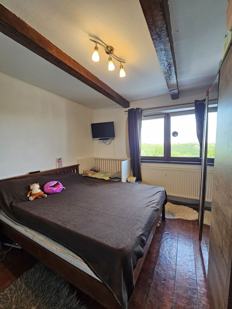 Casa Zona Doja langa Hanul Pescarilor 1500 mp teren - Poză 4
