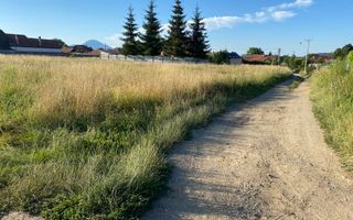 Teren 14400 mp la iesire din Rasnov inspre Pârâul Rece-Trei Brazi - Poză 13