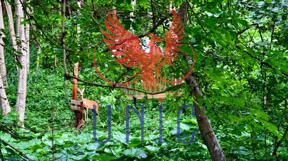 18000 mp de natura pura ,Lupeni, langa Straja - Poză 2