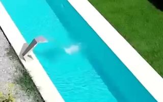 ilfov  CORBEANCA - Poză 2