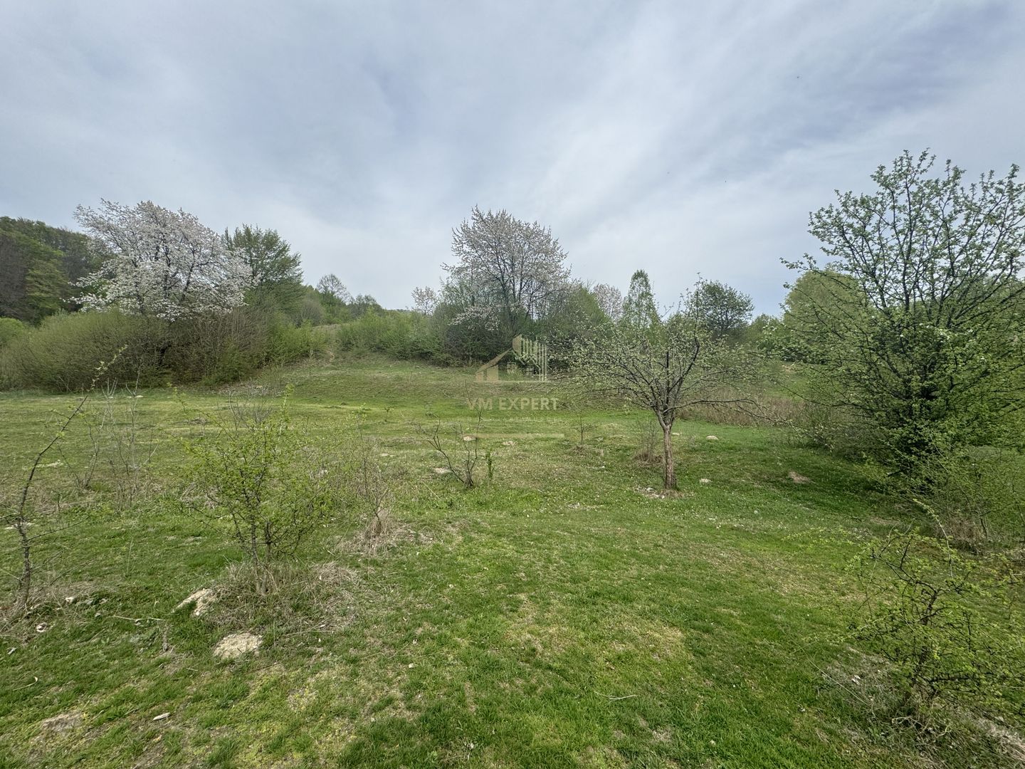 TEREN EXTRAVILAN 40000 MP, ALBESTI DE MUSCEL, CANDESTI - Poză 2