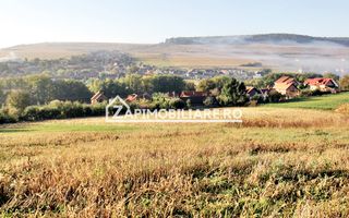 Teren 25.000 mp.  Comuna Voiniceni ,12 euro mp.comision ZERO - Poză 2