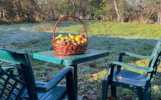 Casă 3 camere I 1500 MP Teren I Porumbacu de Sus - Poză 7