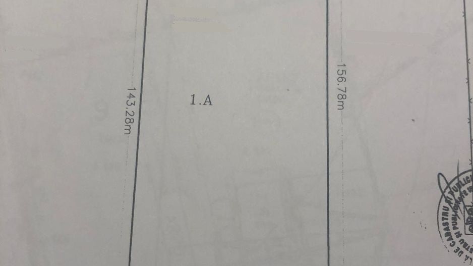 OTOPENI - Str. Nicolae Grigorescu, 8.000 mp. teren cu desch. de 53 m. - Poză 3