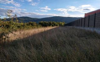 Teren de Vanzare 25AR Crainimat - Poză 2