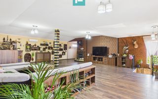 Casă și clădire de apartamente la Orțișoara - Poză 25