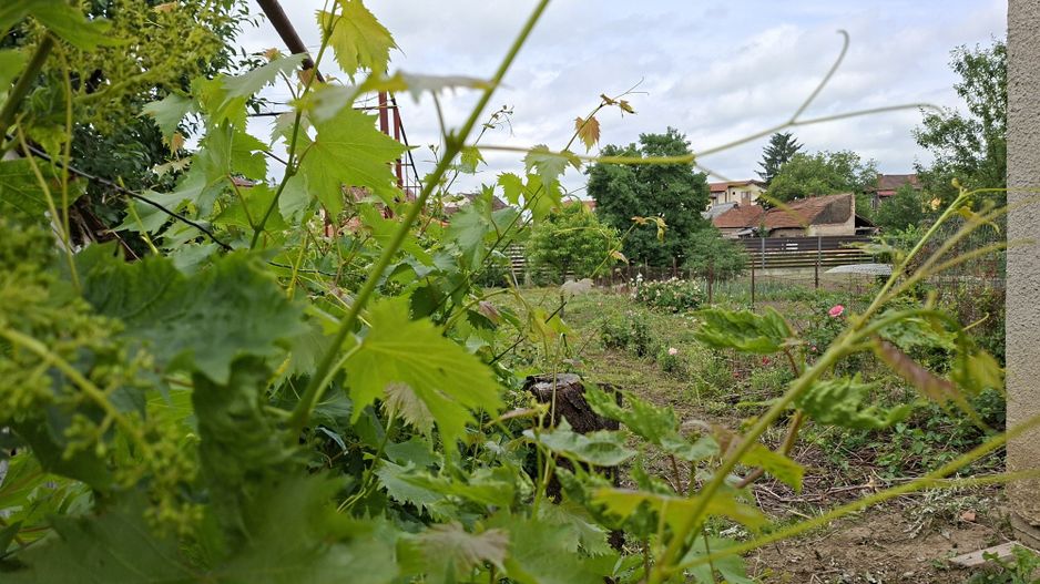 BRASADAS vinde casa individuala 8 cam 8.6a zona Baritiu. - Poză 22