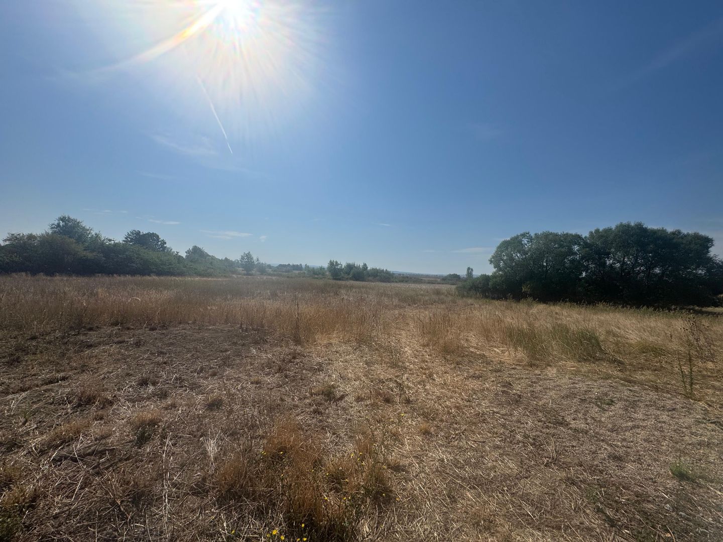 Teren intravilan 5755mp Fughiu, Zona Podgoria - Poză 2