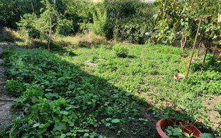 Casa cu 5 camere, 768 mp teren, Cetate - Poză 3