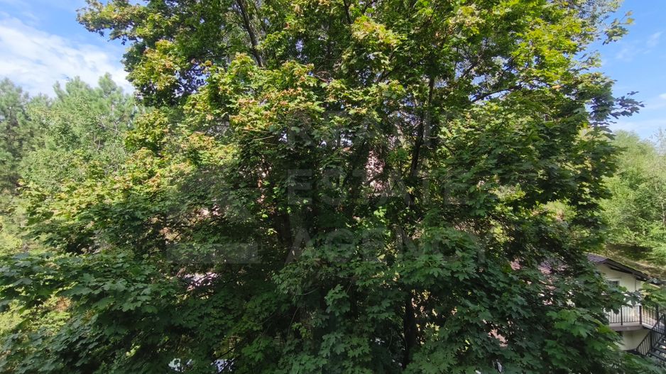 Vânzare, apartament, 1 camere, Strada Poştei, Rîșcani - Poză 11
