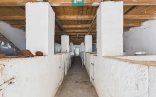 Moară cu brutărie pentru investiții în Secusigiu - Poză 11