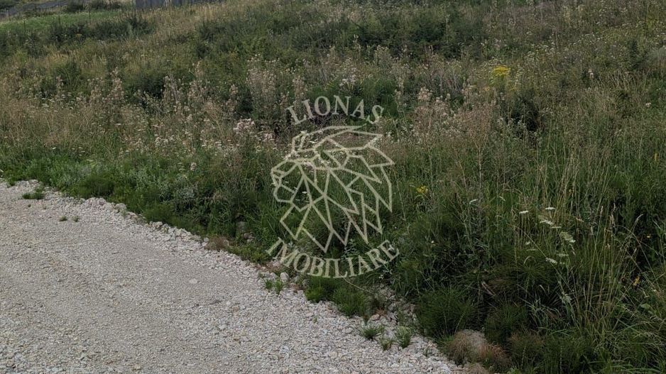 Teren 1000 mp cu utilitati-ideal casa, cabana, investitie-Dealul Jelnei - Poză 4