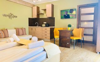 Studio de închiriat-Zona Centrala - Poză 1