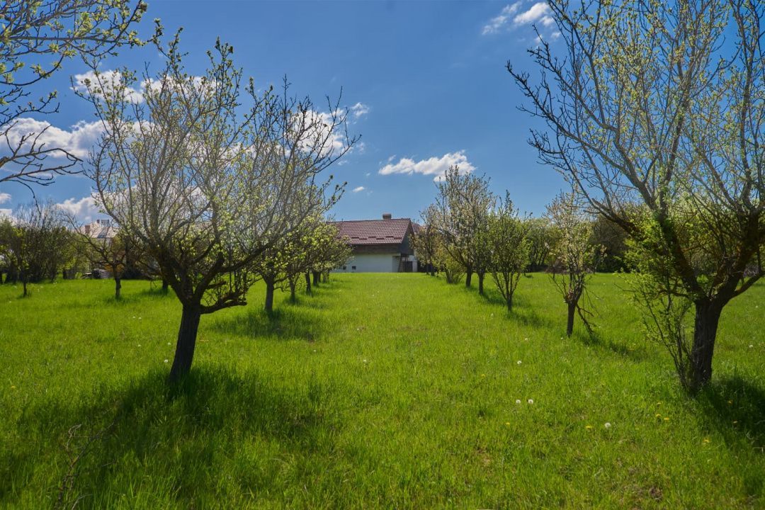 Casa Valea Mare Pravat (Campulung-Arges ) - farmec interbelic - Poză 2