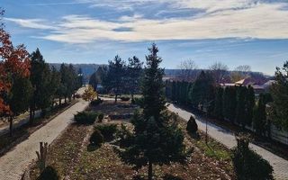 VANZARE VILA | HALA IN VLADICEASCA | SNAGOV | 10.500 MP TEREN - Poză 4