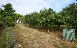 Doua CASE in aceeasi curte–BABANA, ARGEȘ | 1.485 MP TEREN - Poză 20