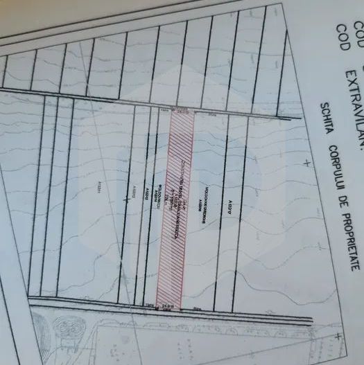 Teren de vanzare - 5500mp - Intravilan - Zona Valetta Park - Poză 4