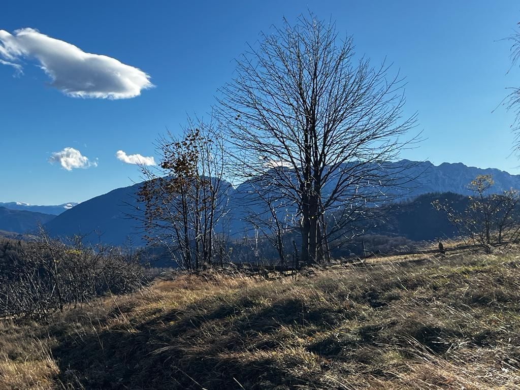 Teren extravilan 2ha, priveliste panoramica spre munti /Poiana Marului - Poză 6