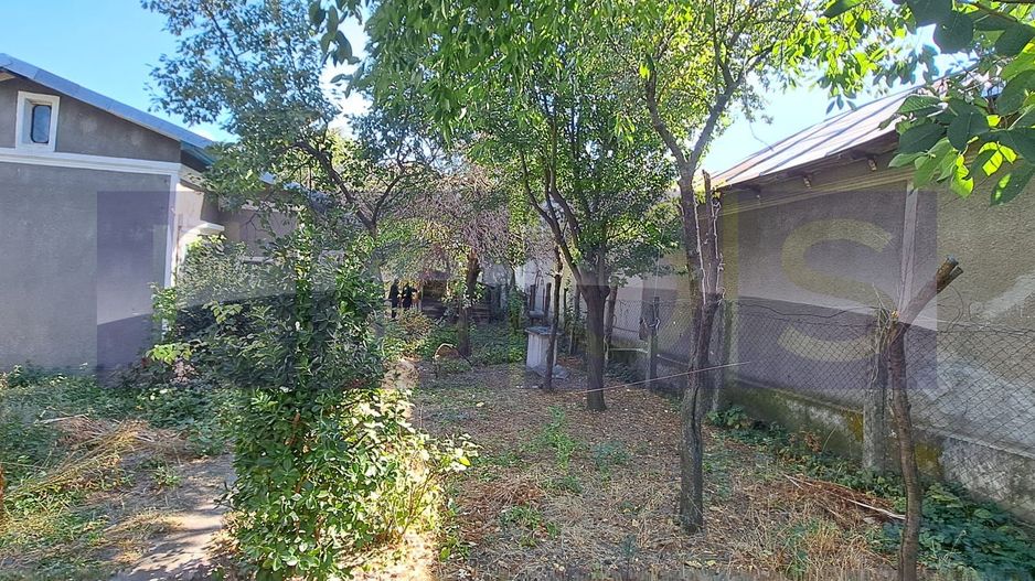 CASA DE VANZARE | ROSIORI DE VEDE | 90 MP | 3 CAMERE | 350 MP TEREN - Poză 5