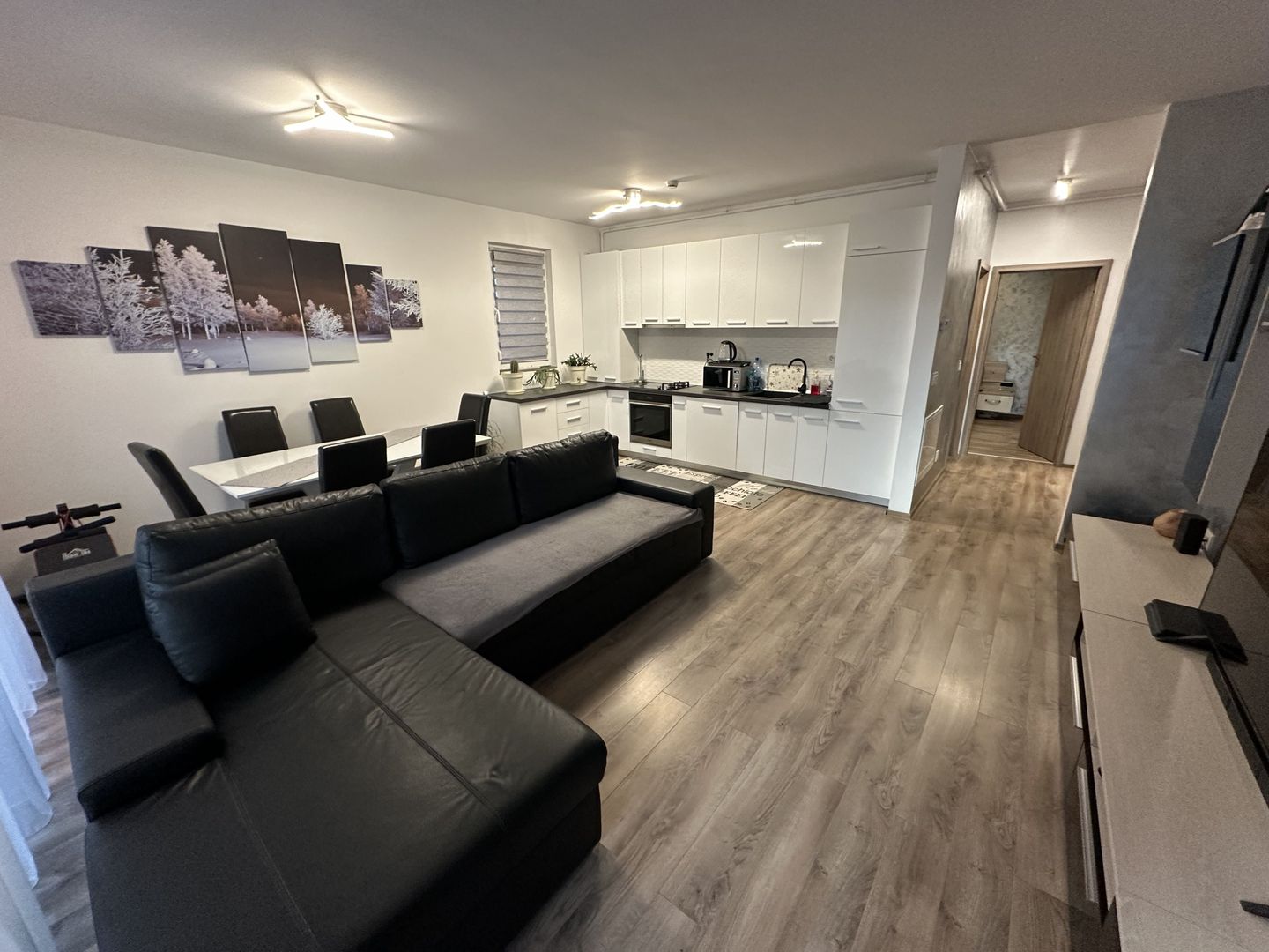 Apartament 2 camere zona Calea Torontalului - Poză 3