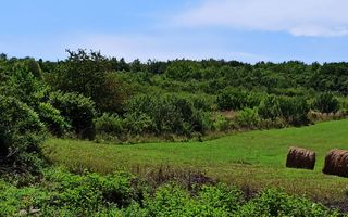 Parcele teren 4038 mp - Parcelabil - Zona Valea Stanelor - Poză 3