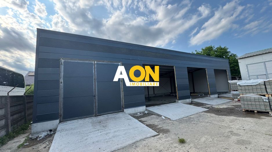 De inchiriat hale diferite dimensiuni, Blaj - Poză 3