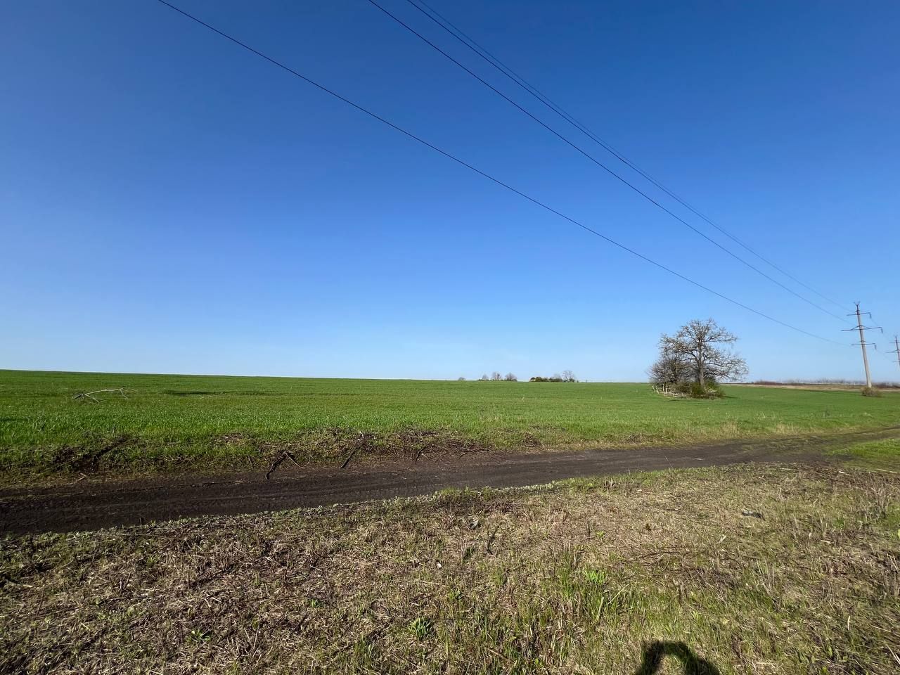 Teren 41,49 ari Ghidighici | deschidere 122 m | agricol | investiție - Poză 8