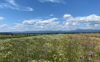 Teren de vanzare in Coas, zona linistita - Poză 6