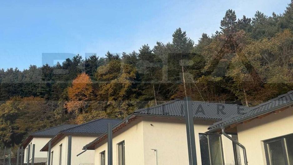 Casa individuala pe un singur nivel, Popesti - Poză 2