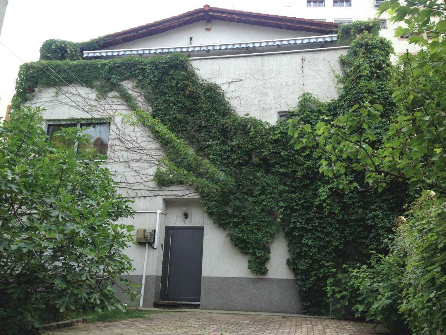 Vila | Dorobanti | Brazilia - Poză 1