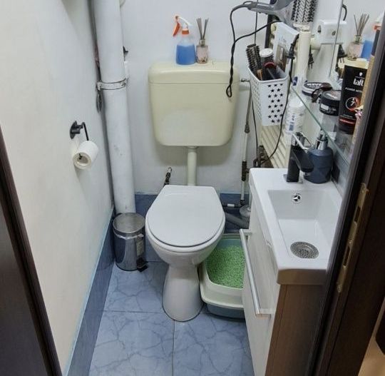 Aprtament Izvorul Mureșului - Poză 8