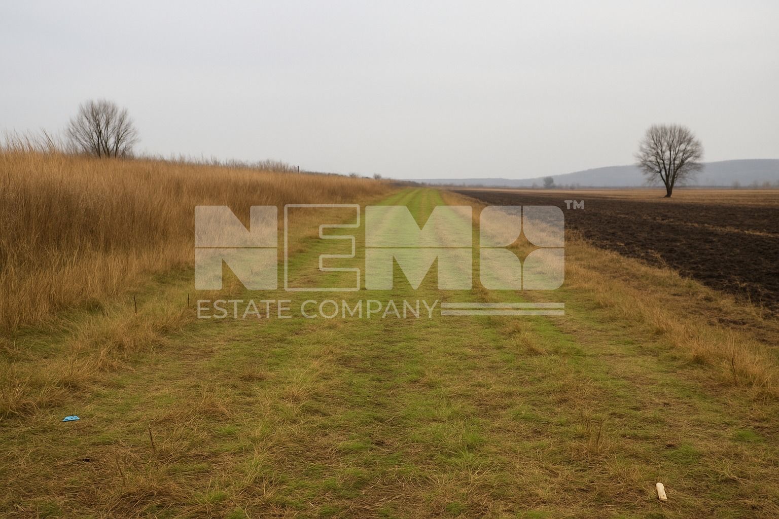 Teren agricol | de vânzare | 5000 mp² | comuna Satu Mare - Poză 7