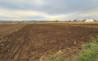 Teren 10.000 mp | Grănicesti | Lângă E85 | Front 25 m - Poză 2